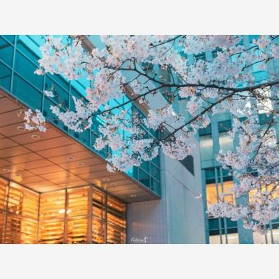 足球赌注软件app下载