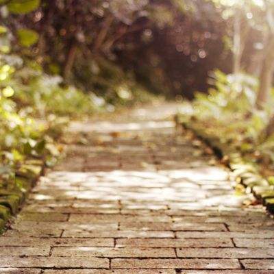 pg娱乐电子游戏官网手机app下载